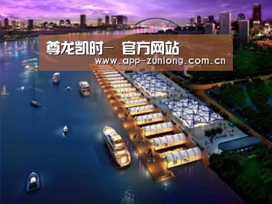 案例展示八