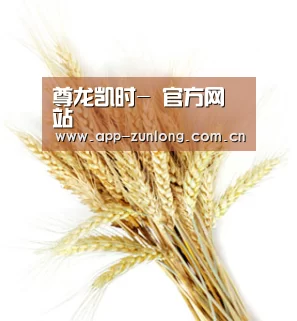 尊龙凯时- 官方网站